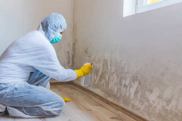 Commercial Mold Remediation assessment for commercial property in Naperville
