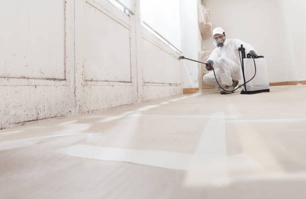Post-remediation clearance in Naperville
